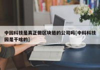 中园科技是真正做区块链的公司吗[中科科技园是干啥的]