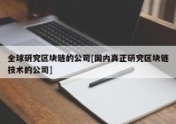 全球研究区块链的公司[国内真正研究区块链技术的公司]