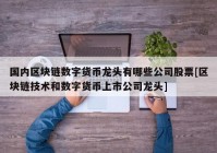 国内区块链数字货币龙头有哪些公司股票[区块链技术和数字货币上市公司龙头]